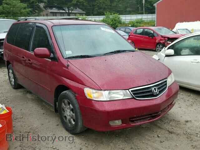 Фотография 5FNRL18933B084618 - HONDA ODYSSEY 2003