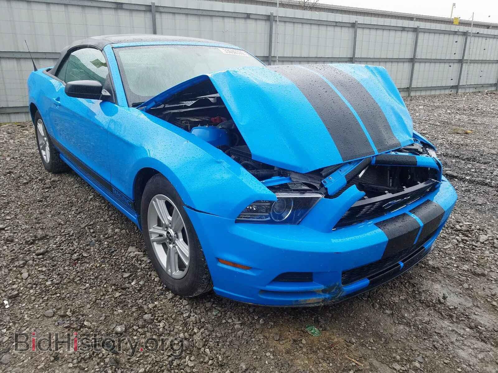 Photo 1ZVBP8EM0D5280295 - FORD MUSTANG 2013