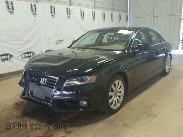 2010 AUDI A4 - VIN: WAUFFAFL0AN011453 - Фото 2