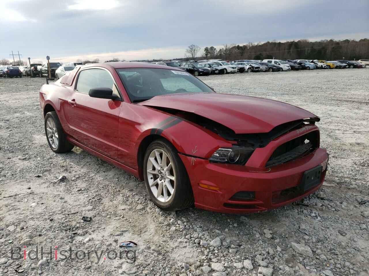 Фотография 1ZVBP8AM1D5243598 - FORD MUSTANG 2013