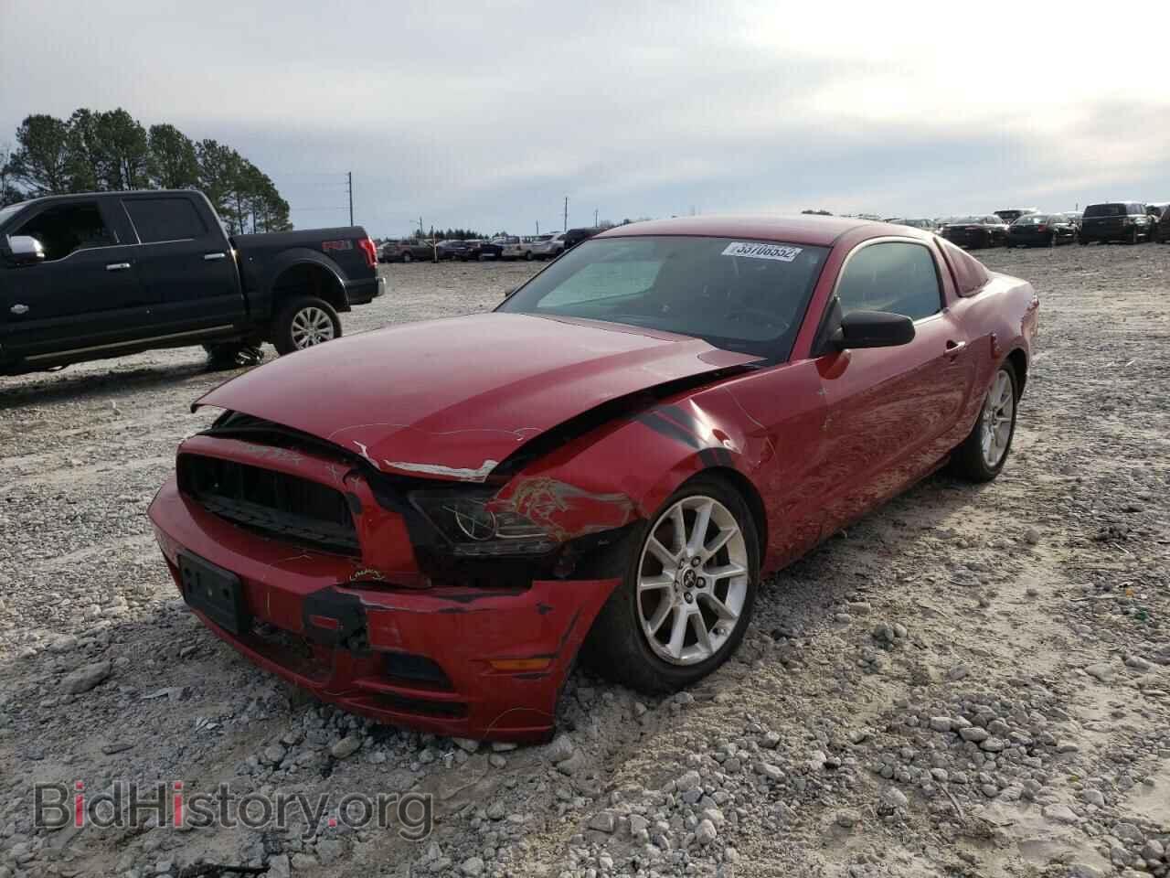2013 FORD MUSTANG - VIN: 1ZVBP8AM1D5243598 - Фото 2