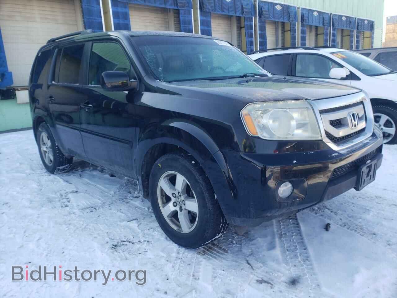Фотография 5FNYF48509B053904 - HONDA PILOT 2009