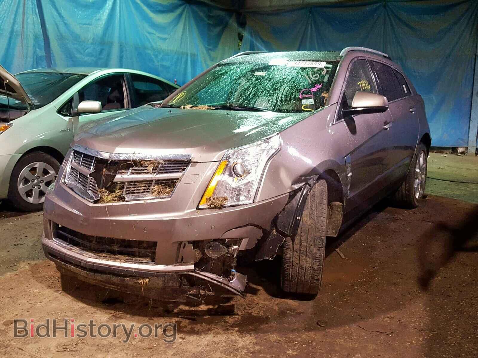 2011 CADILLAC SRX PERFOR - VIN: 3GYFNEEY1BS673909 - Фото 2