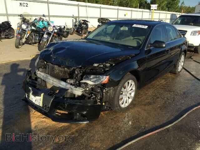 2011 AUDI A4 - VIN: WAUFFAFL3BN045825 - Фото 2