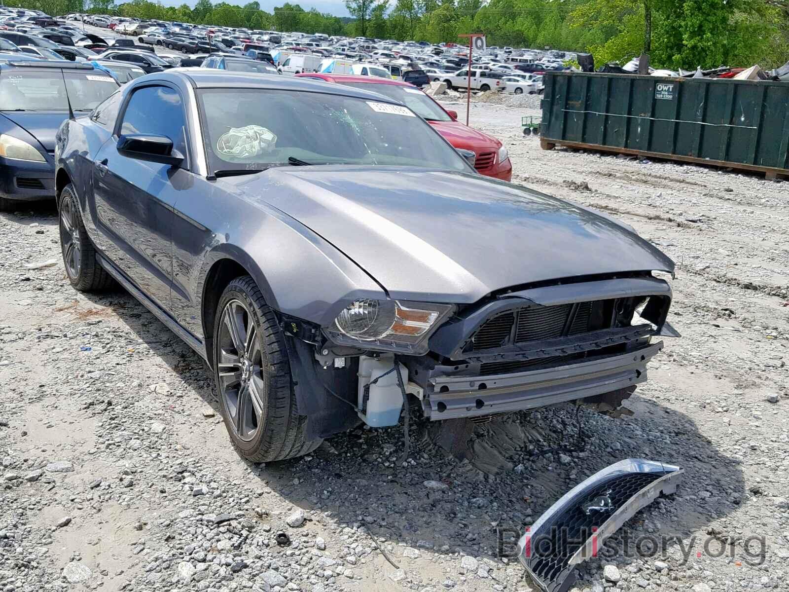 Photo 1ZVBP8AM3D5258510 - FORD MUSTANG 2013