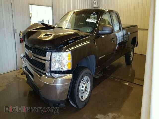 2011 CHEVROLET SILVERADO - VIN: 1GC2CVCG5BZ344198 - Фото 2