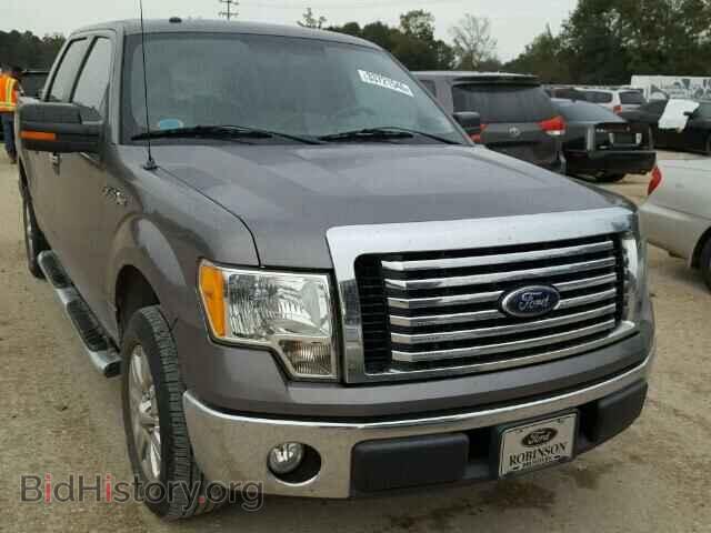Photo 1FTEW1C85AFD16021 - FORD F150 2010