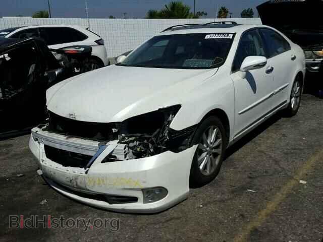 2010 LEXUS ES350 - VIN: JTHBK1EG3A2407748 - Фото 2