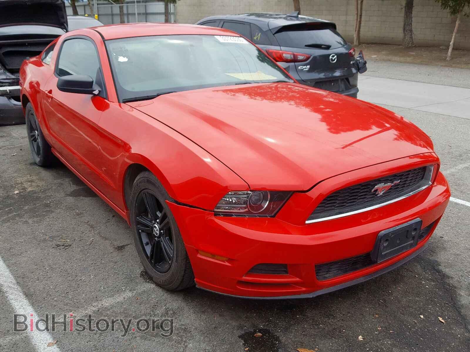 Photo 1ZVBP8AM0E5302061 - FORD MUSTANG 2014