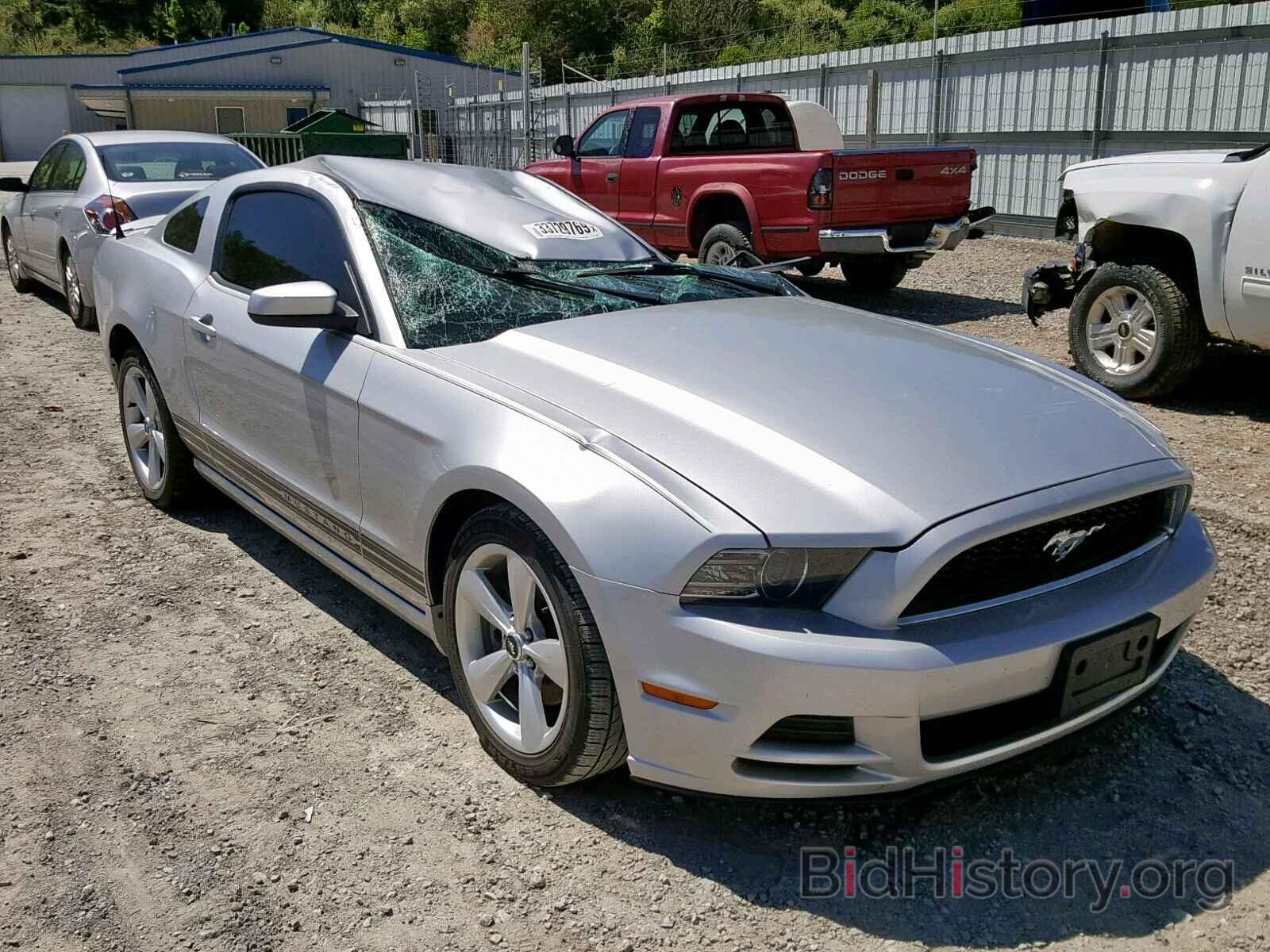Photo 1ZVBP8AM7E5210834 - FORD MUSTANG 2014