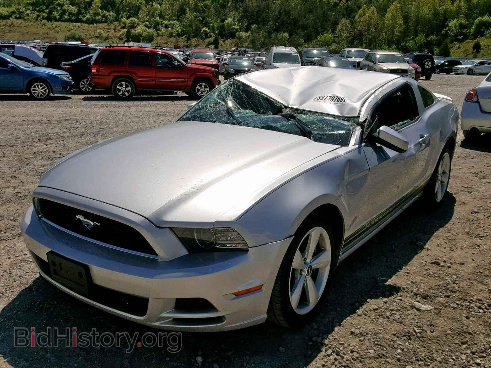 2014 FORD MUSTANG - VIN: 1ZVBP8AM7E5210834 - Фото 2