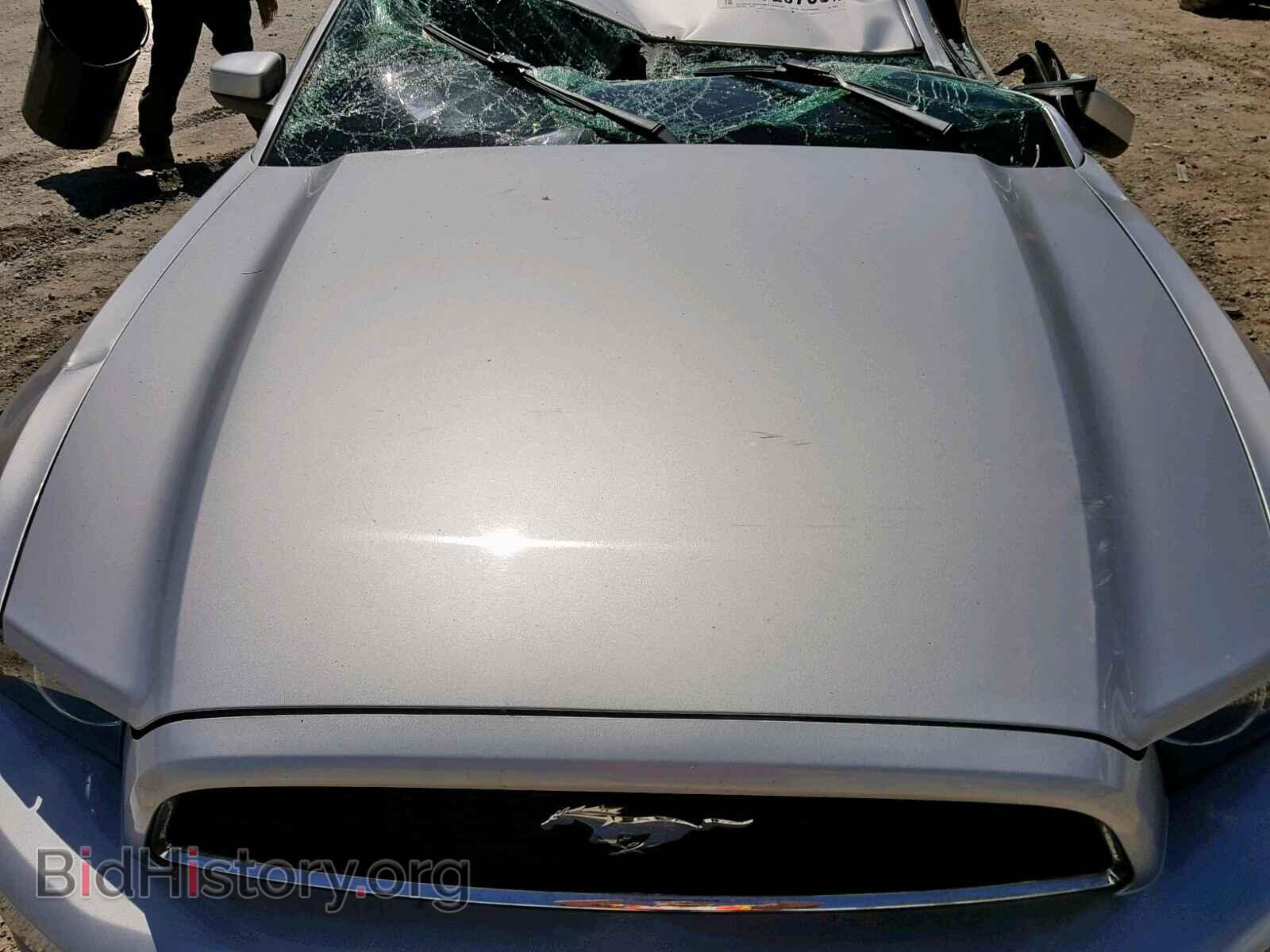 2014 FORD MUSTANG - VIN: 1ZVBP8AM7E5210834 - Фото 7