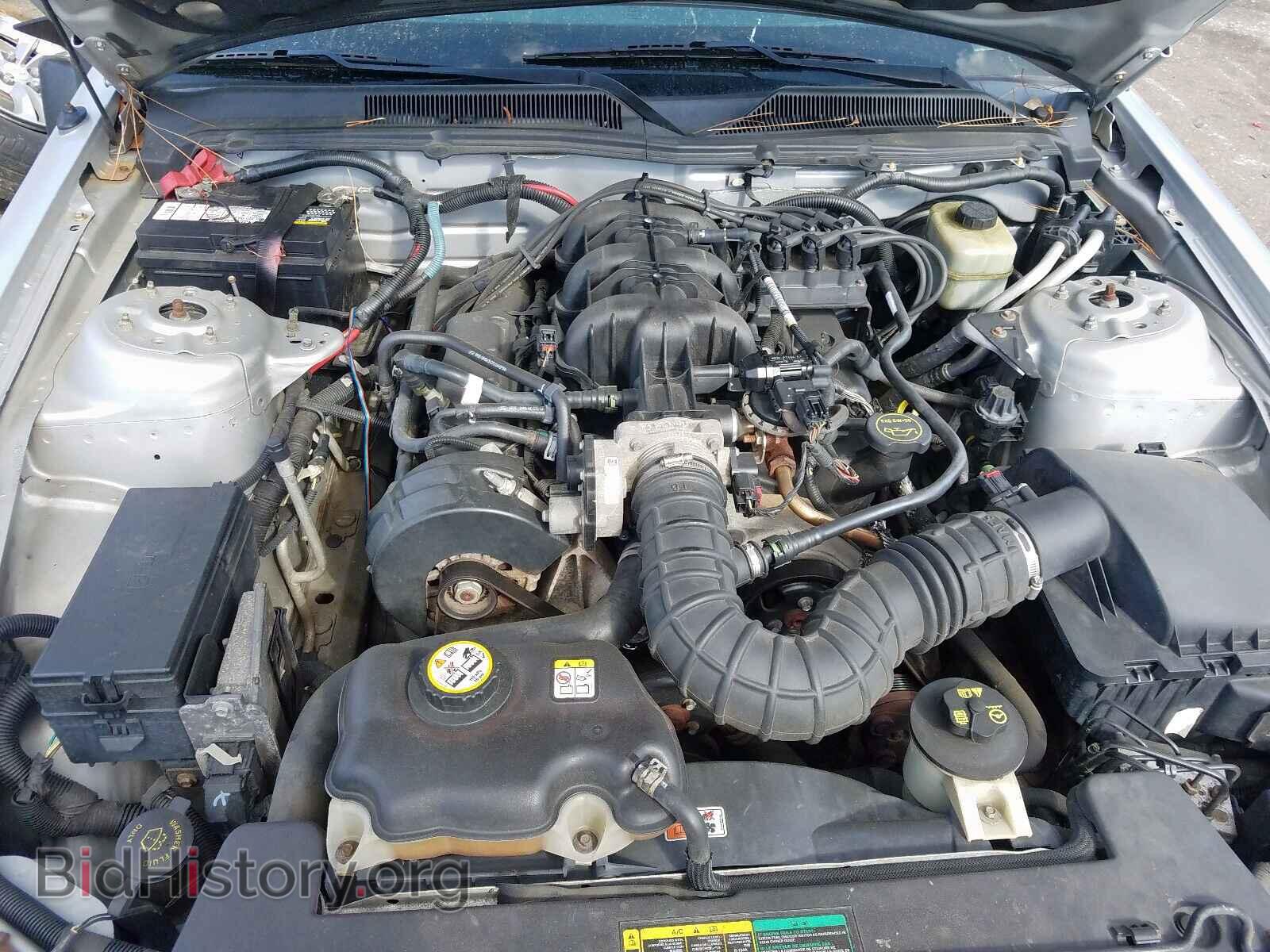 2005 FORD MUSTANG - VIN: 1ZVFT80N555206806 - Фото 7