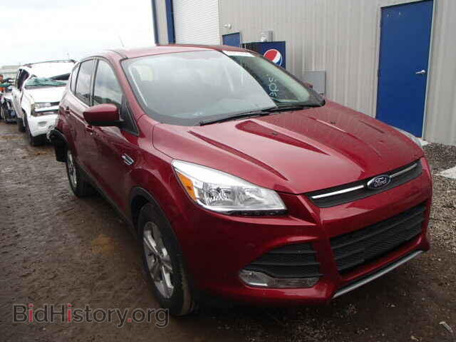 Photo 1FMCU0GX2EUE09696 - FORD ESCAPE 2014