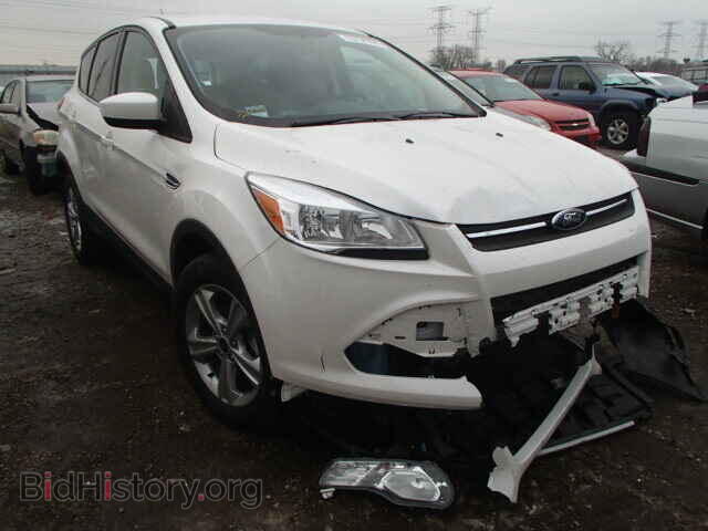 Photo 1FMCU0GX2EUD99039 - FORD ESCAPE 2014