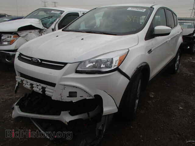 2014 FORD ESCAPE - VIN: 1FMCU0GX2EUD99039 - Фото 2