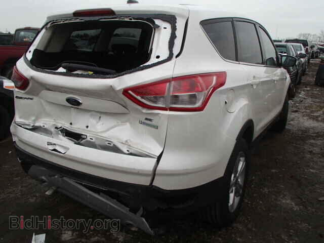 2014 FORD ESCAPE - VIN: 1FMCU0GX2EUD99039 - Фото 4