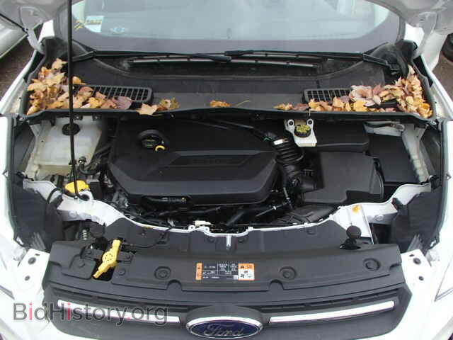 2014 FORD ESCAPE - VIN: 1FMCU0GX2EUD99039 - Фото 7
