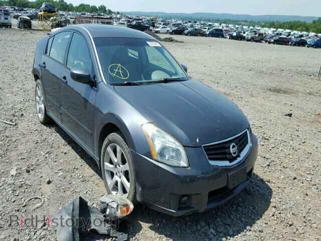 Photo 1N4BA41E38C816532 - NISSAN MAXIMA 2008