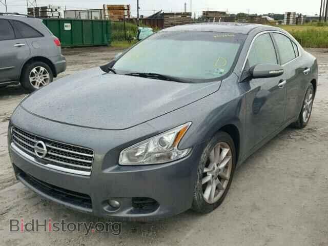 2009 NISSAN MAXIMA - VIN: 1N4AA51E19C824535 - Фото 2