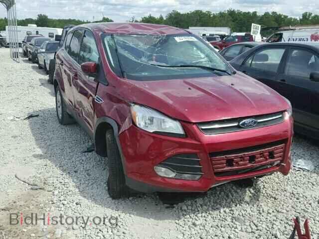 Фотография 1FMCU0GX2DUD63561 - FORD ESCAPE 2013