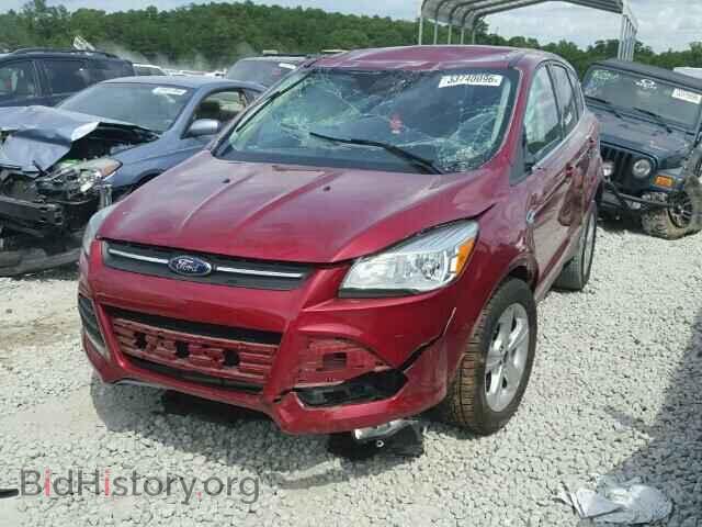 2013 FORD ESCAPE - VIN: 1FMCU0GX2DUD63561 - Photo 2