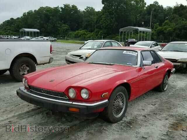 1985 JAGUAR XJS - VIN: SAJNV5847FC119538 - Фото 2