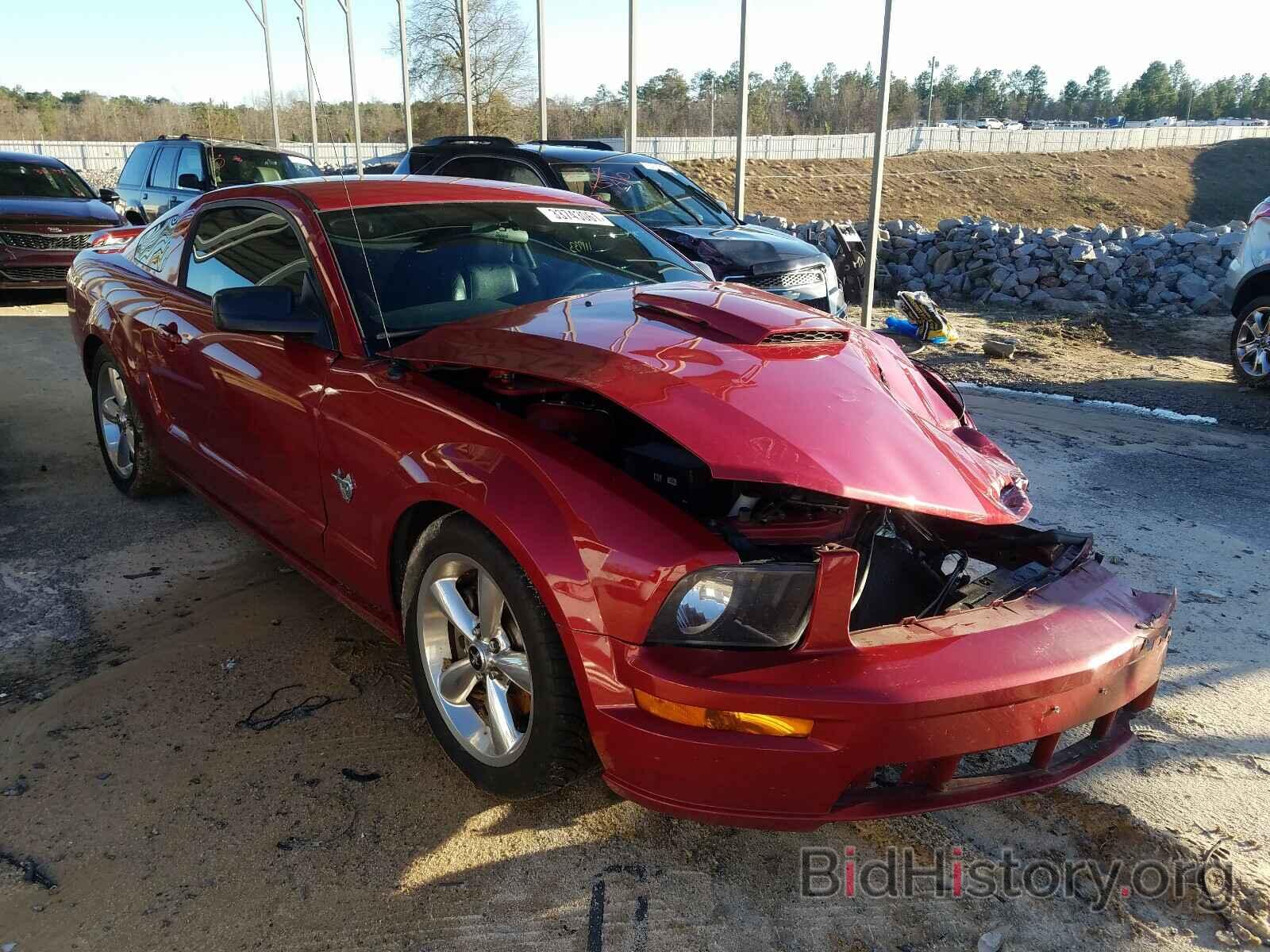 Photo 1ZVHT82H895119925 - FORD MUSTANG 2009