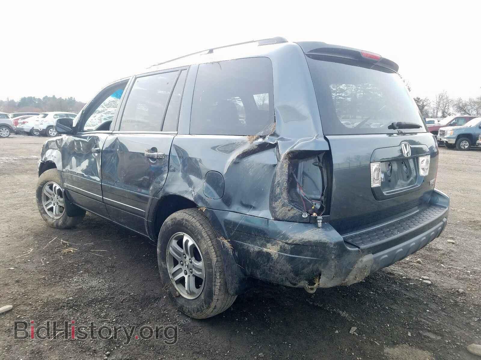 2005 HONDA PILOT - VIN: 5FNYF18455B040341 - Фото 3