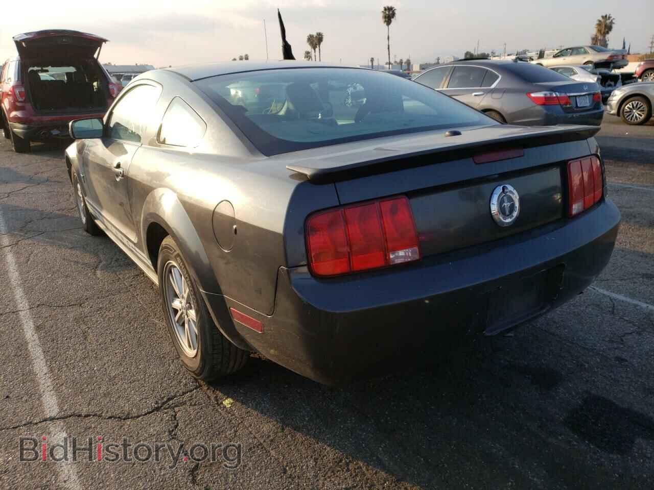 2009 FORD MUSTANG - VIN: 1ZVHT80N895137611 - Фото 3