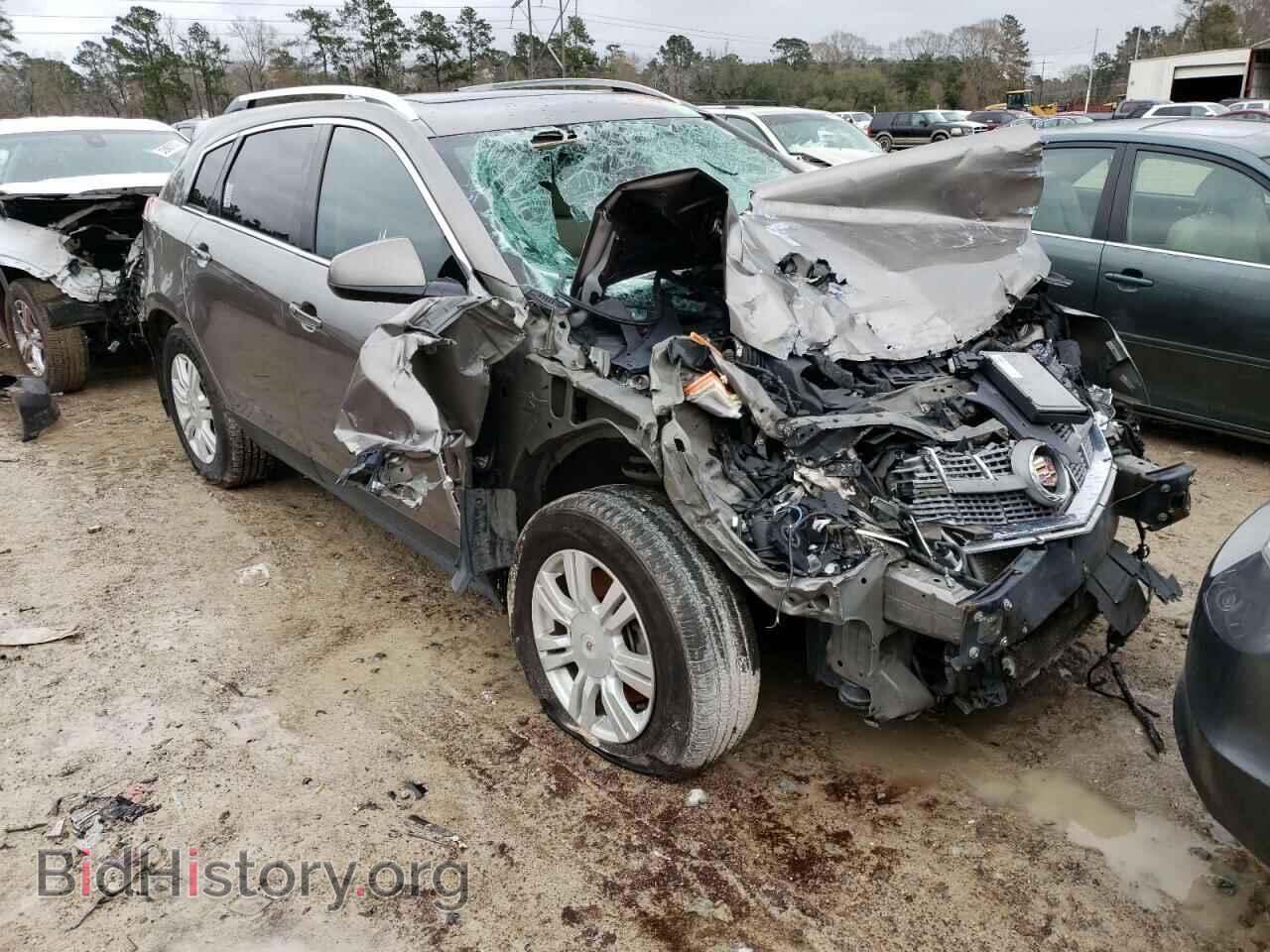 Фотография 3GYFNAEY7BS527488 - CADILLAC SRX 2011