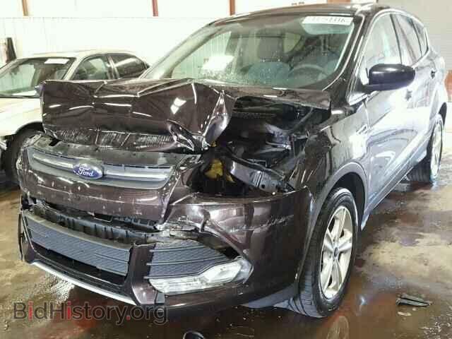 2013 FORD ESCAPE - VIN: 1FMCU9G92DUD55711 - Фото 2