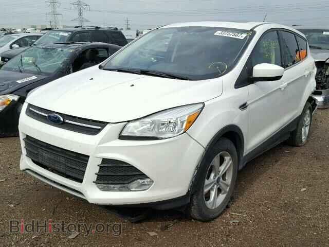 2013 FORD ESCAPE - VIN: 1FMCU9G97DUA38524 - Photo 2