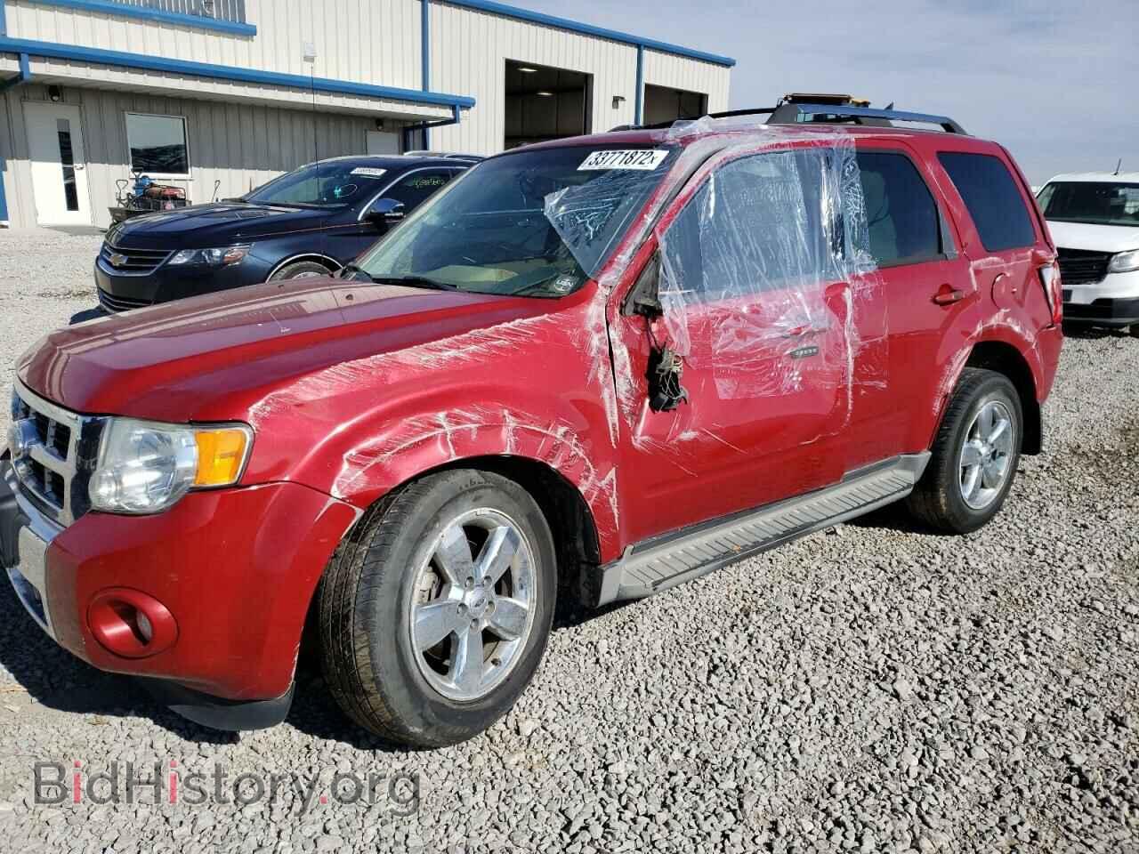 2011 FORD ESCAPE - VIN: 1FMCU9EG9BKB03626 - Фото 2