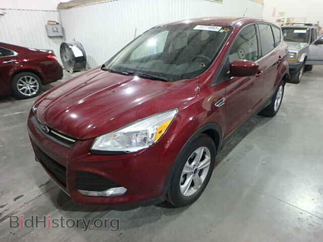 2014 FORD ESCAPE - VIN: 1FMCU0GX1EUB97809 - Фото 2