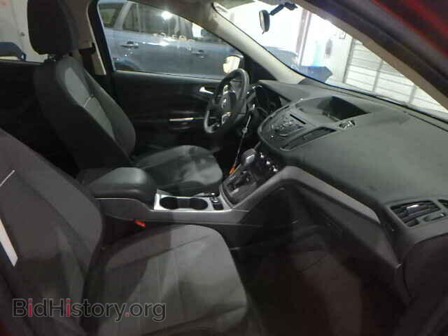2014 FORD ESCAPE - VIN: 1FMCU0GX1EUB97809 - Фото 5