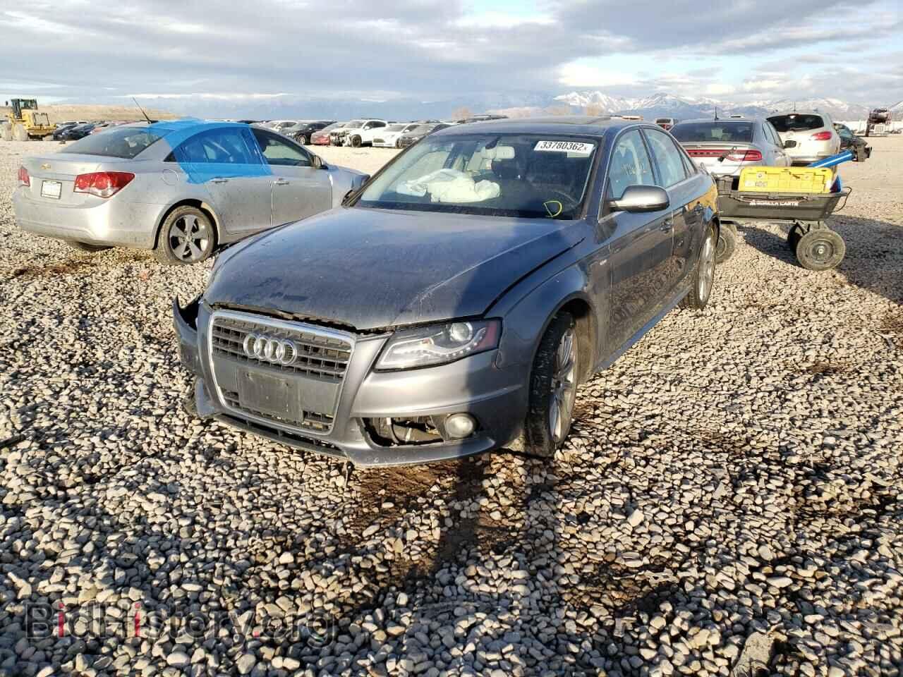 2012 AUDI A4 - VIN: WAUEFAFL5CN004447 - Фото 2