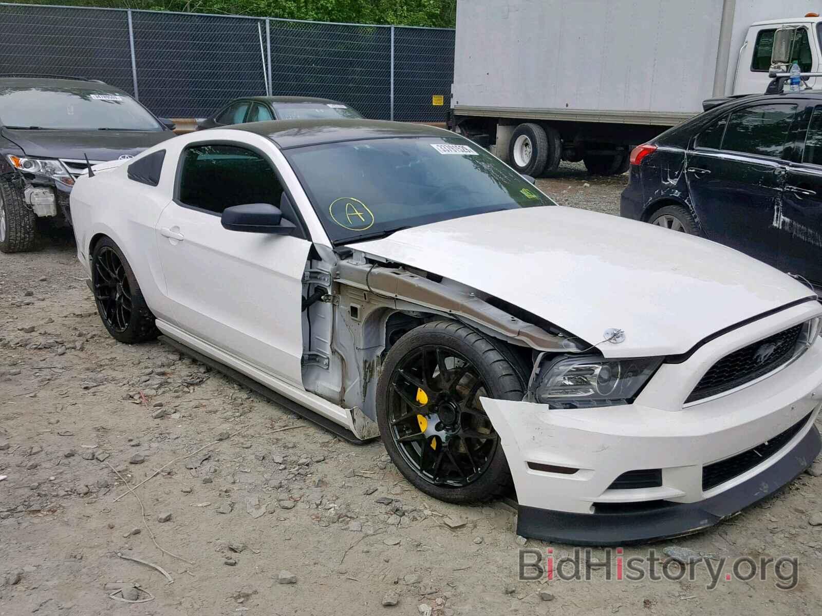 Photo 1ZVBP8AM1D5235274 - FORD MUSTANG 2013