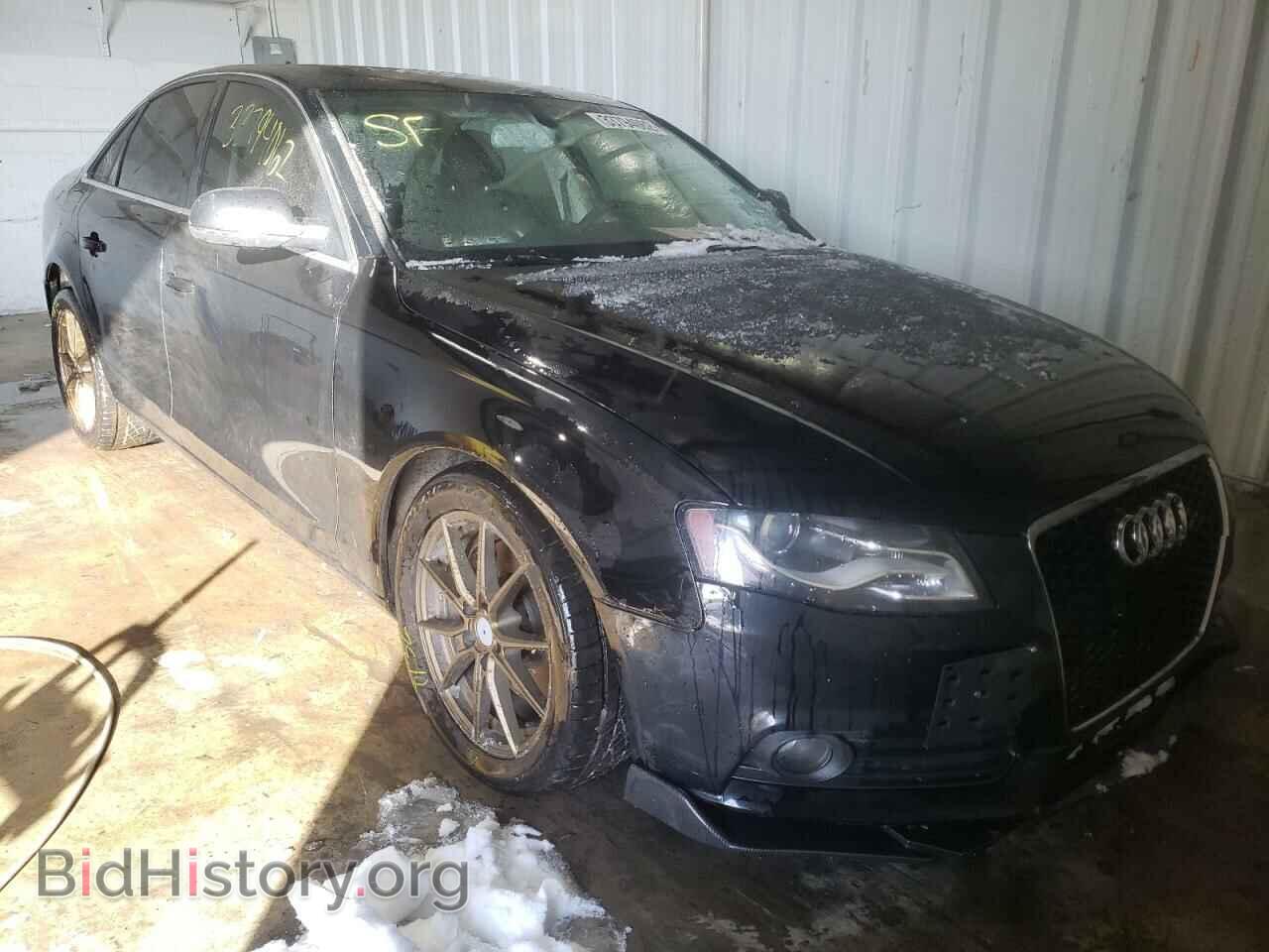 Фотография WAUFFAFL0BN035981 - AUDI A4 2011