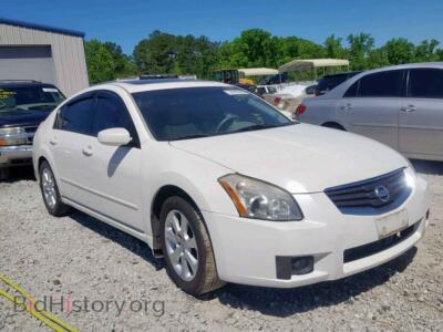 2008 Nissan MAXIMA Maxima SE, белый — VIN 1N4BA41E28C818966, Copart