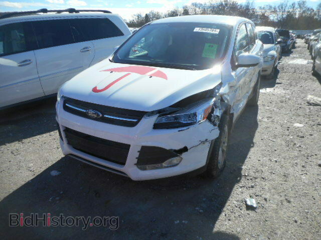 2013 FORD ESCAPE - VIN: 1FMCU0GXXDUB32732 - Фото 2