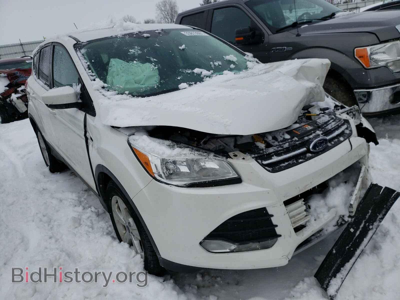 Фотография 1FMCU0GX4EUA21322 - FORD ESCAPE 2014