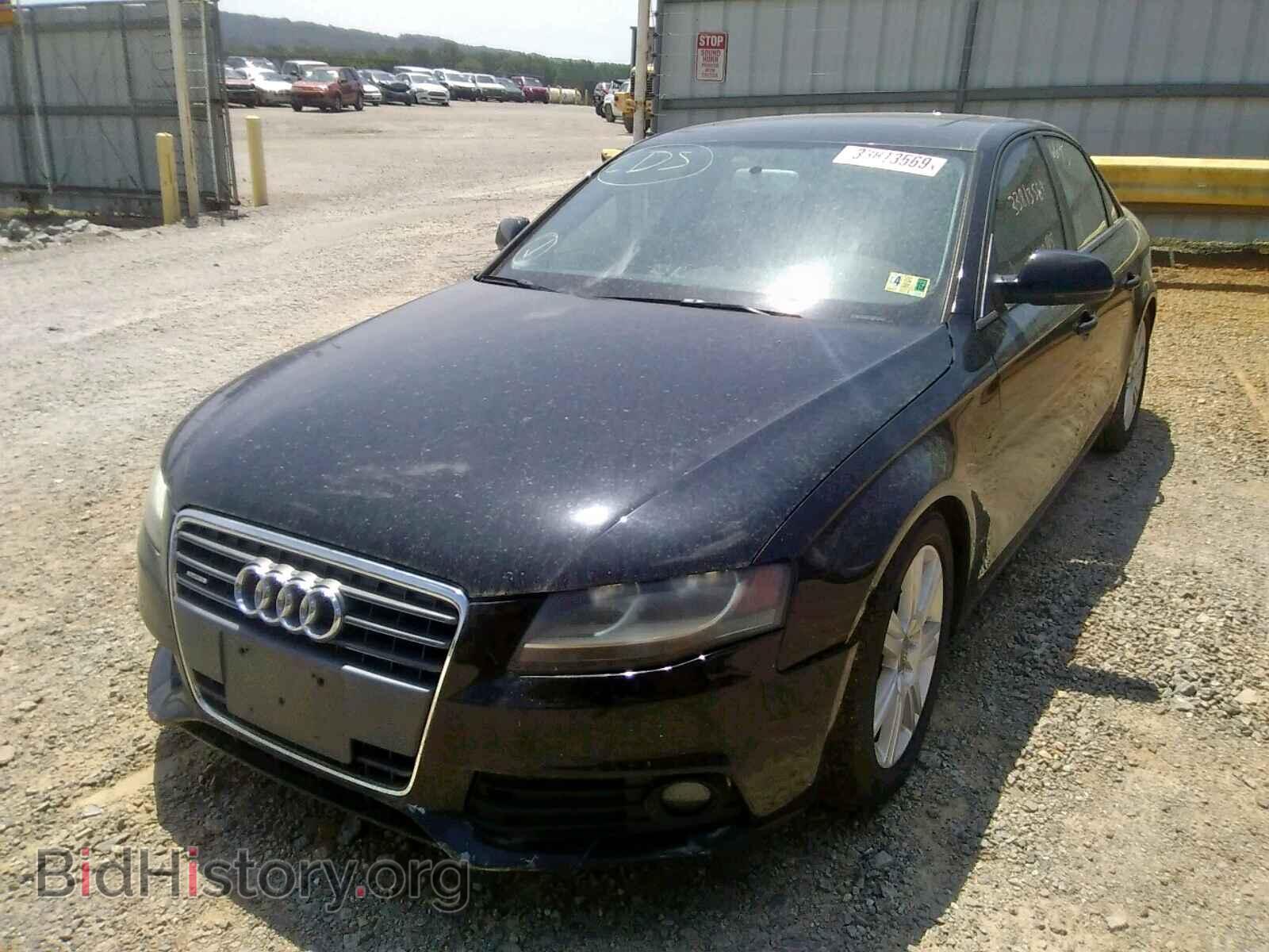 2010 AUDI A4 - VIN: WAUBFAFL8AN009271 - Фото 2