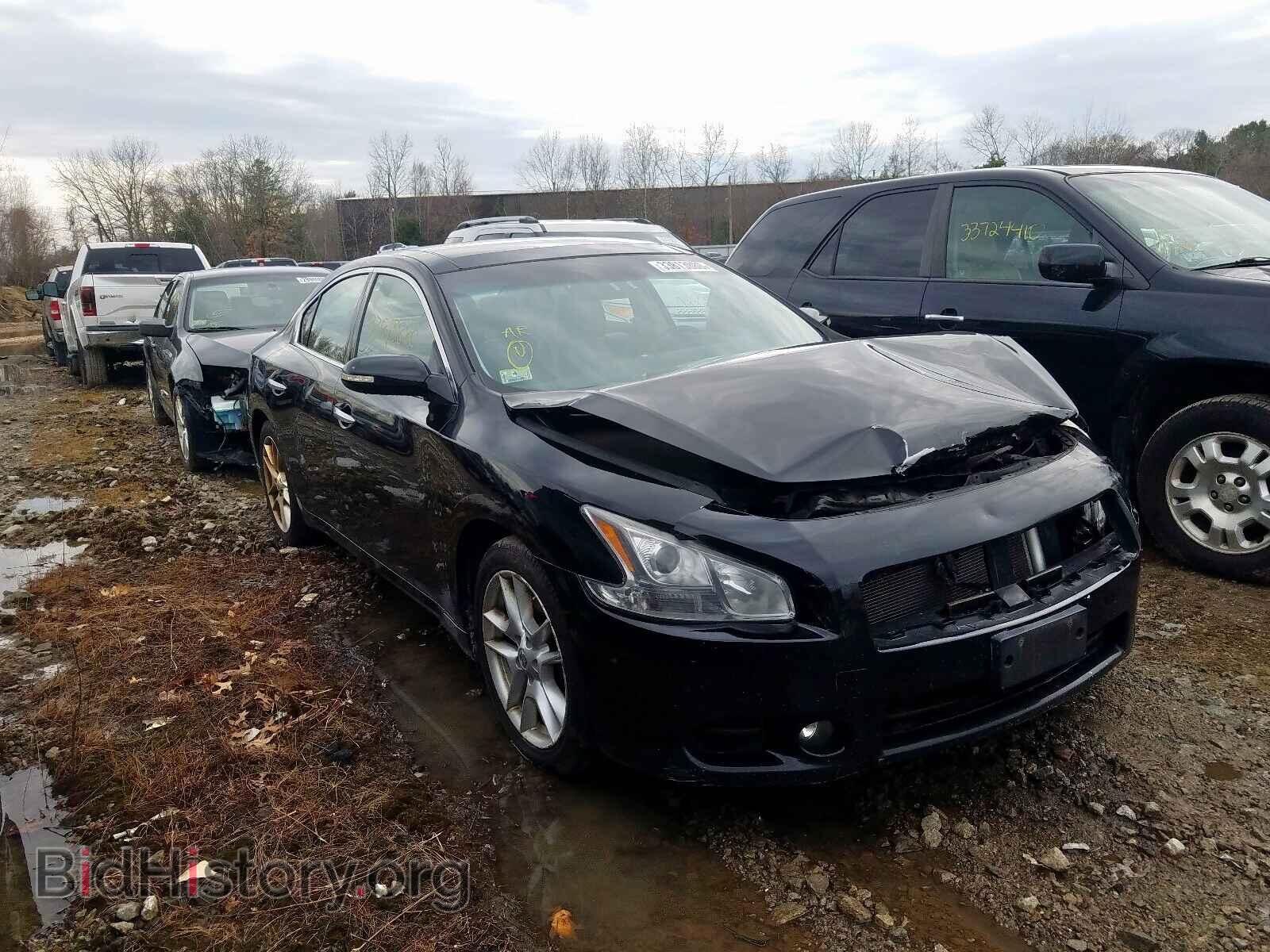 Фотография 1N4AA5AP3AC801036 - NISSAN MAXIMA 2010