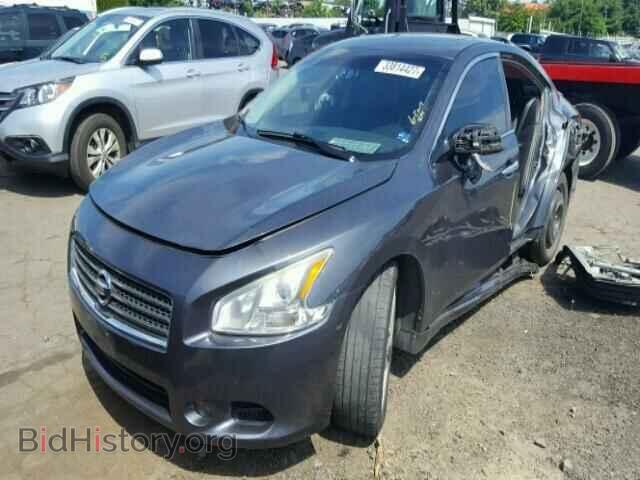 2009 NISSAN MAXIMA - VIN: 1N4AA51E79C837015 - Фото 2