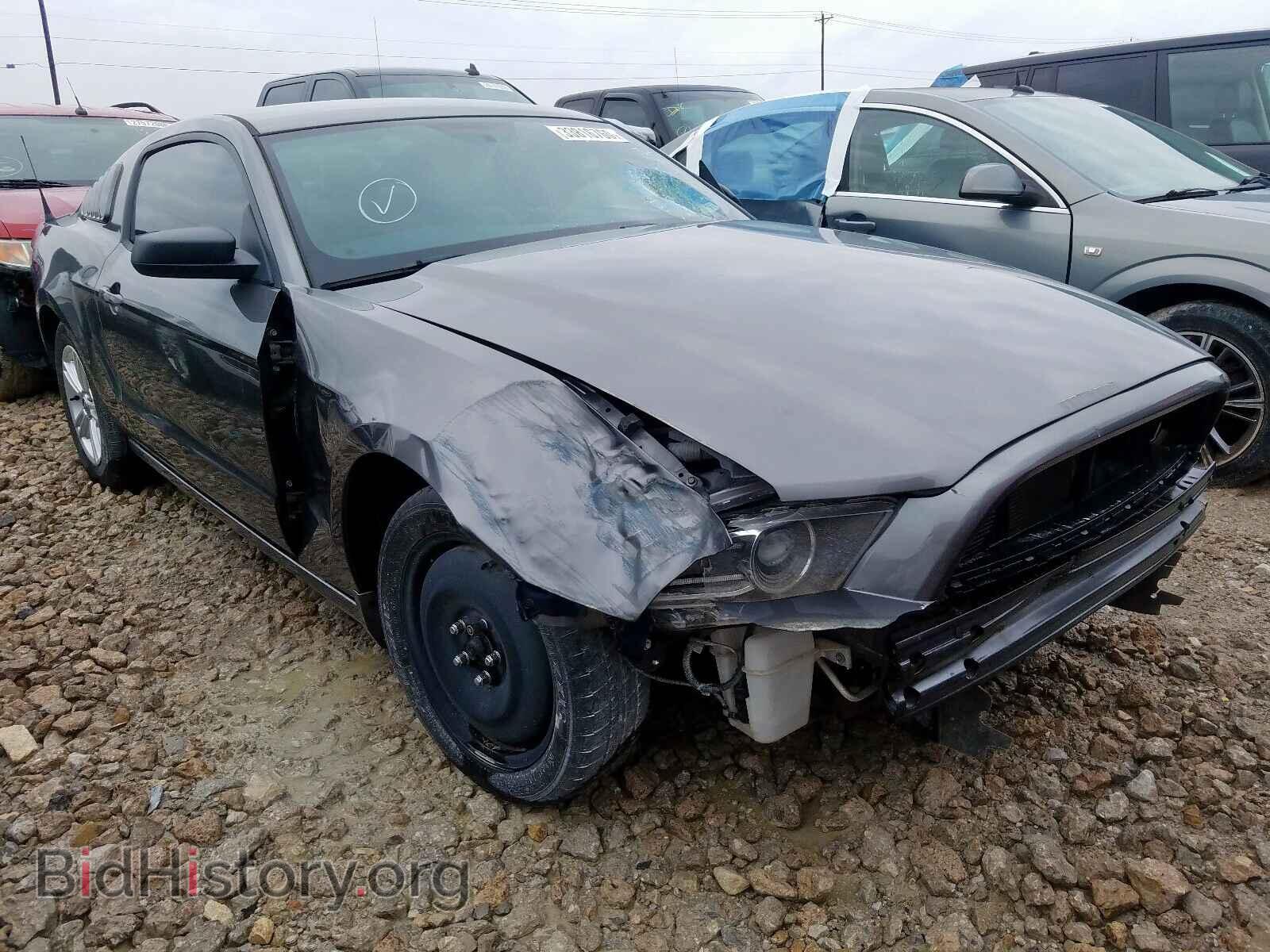 Photo 1ZVBP8AM4E5214968 - FORD MUSTANG 2014