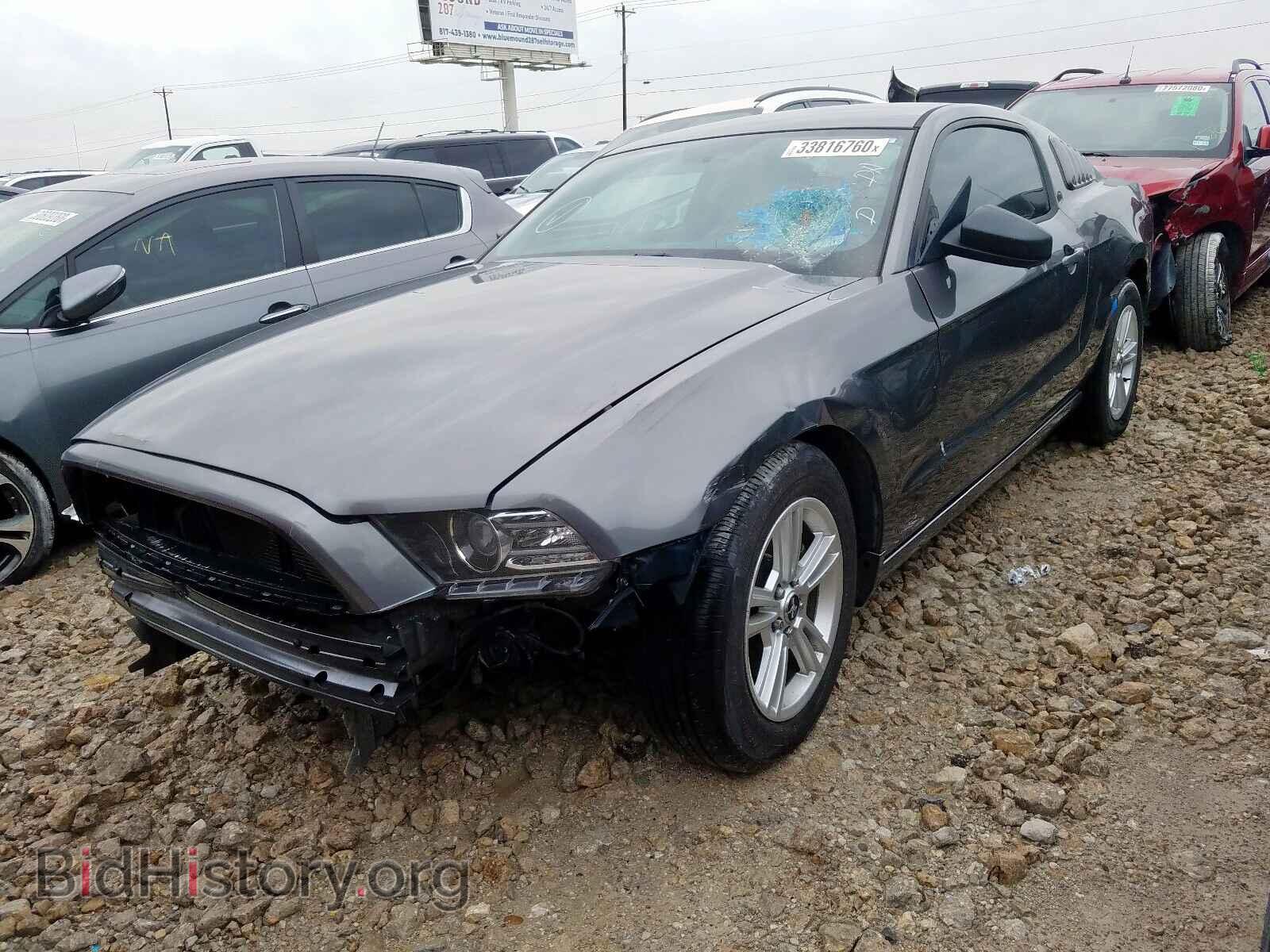 2014 FORD MUSTANG - VIN: 1ZVBP8AM4E5214968 - Фото 2