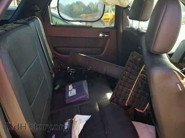 2011 FORD ESCAPE - VIN: 1FMCU9EG5BKA59947 - Фото 6