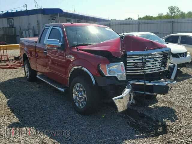 Фотография 1FTEX1CM4BKD55329 - FORD F150 2011
