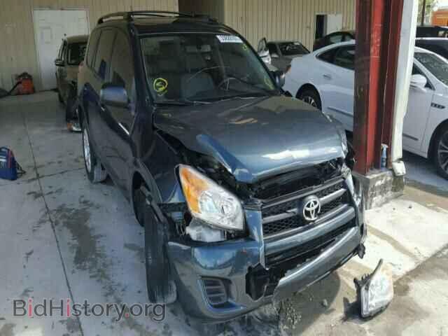 Фотография 2T3BF4DV0BW116074 - TOYOTA RAV4 2011